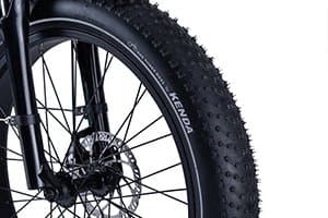 RadRover 5 Tires 