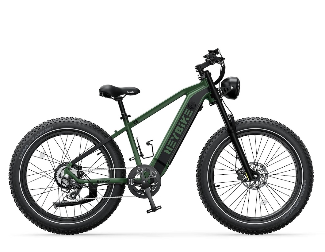 HeyBike Brawn Review 2024